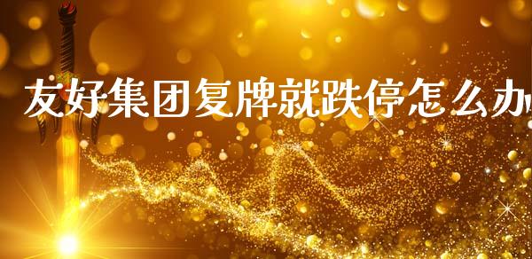 友好集团复牌就跌停怎么办_https://m.fsyjjx.cn_股指期货保证金_第1张