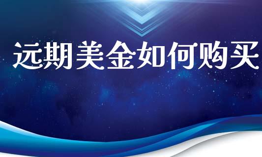 远期美金如何购买_https://m.fsyjjx.cn_期货保证金计算_第1张