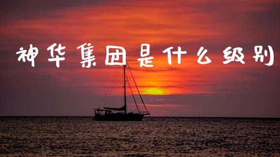 神华集团是什么级别_https://m.fsyjjx.cn_期货保证金计算_第1张