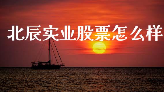 北辰实业股票怎么样_https://m.fsyjjx.cn_股指期货保证金_第1张