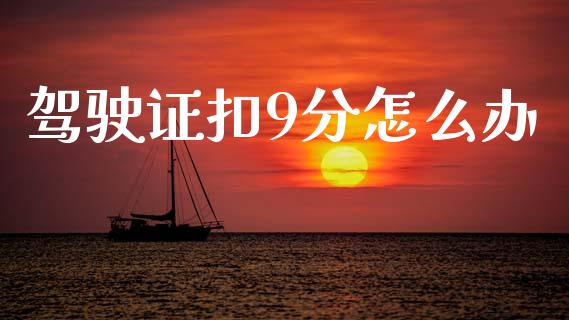 驾驶证扣9分怎么办_https://m.fsyjjx.cn_期货保证金计算_第1张