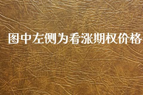 图中左侧为看涨期权价格_https://m.fsyjjx.cn_期货保证金计算_第1张