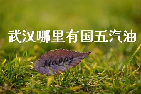 武汉哪里有国五汽油_https://m.fsyjjx.cn_期货如何开户_第1张