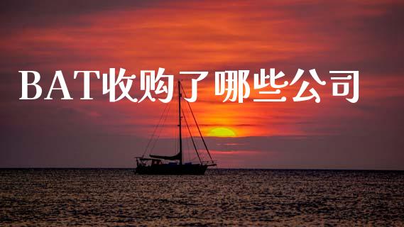 BAT收购了哪些公司_https://m.fsyjjx.cn_期货保证金_第1张