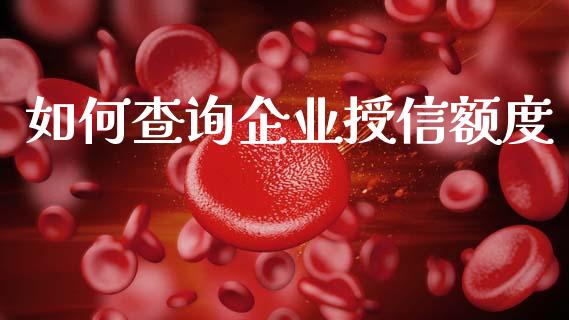 如何查询企业授信额度_https://m.fsyjjx.cn_期货保证金计算_第1张