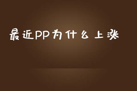 最近PP为什么上涨_https://m.fsyjjx.cn_期货保证金_第1张