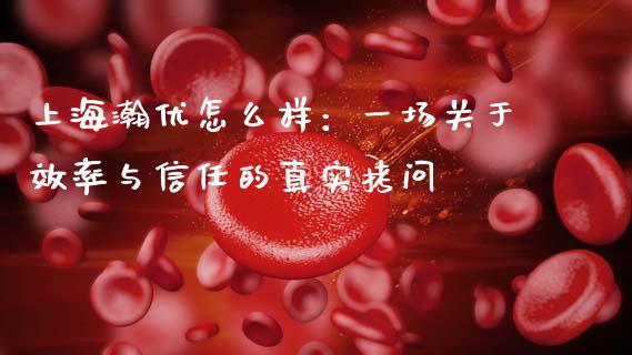 上海瀚优怎么样：一场关于效率与信任的真实拷问_https://m.fsyjjx.cn_股指期货保证金_第1张