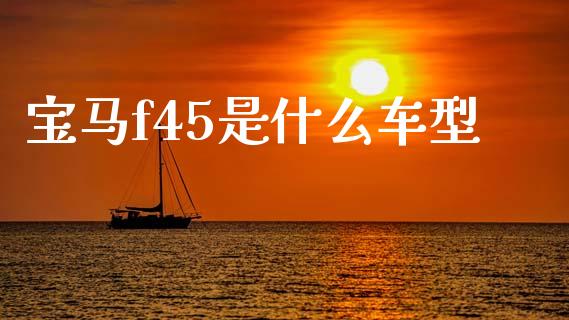 宝马f45是什么车型_https://m.fsyjjx.cn_期货保证金计算_第1张