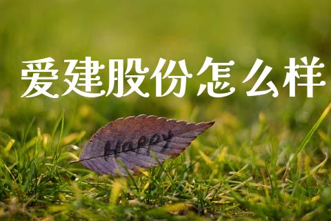 爱建股份怎么样_https://m.fsyjjx.cn_期货如何开户_第1张