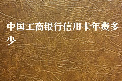 中国工商银行信用卡年费多少_https://m.fsyjjx.cn_股指期货保证金_第1张