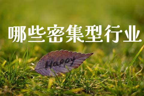 哪些密集型行业_https://m.fsyjjx.cn_期货保证金_第1张