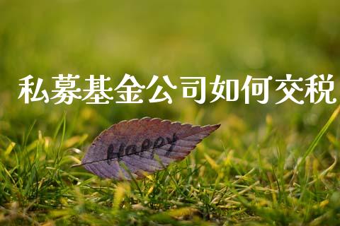 私募基金公司如何交税_https://m.fsyjjx.cn_期货保证金计算_第1张