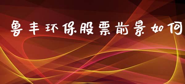 鲁丰环保股票前景如何_https://m.fsyjjx.cn_期货如何开户_第1张