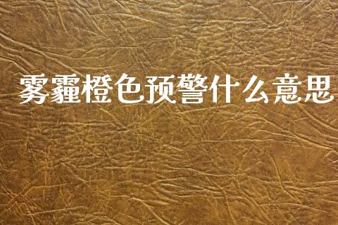 雾霾橙色预警什么意思_https://m.fsyjjx.cn_股指期货保证金_第1张