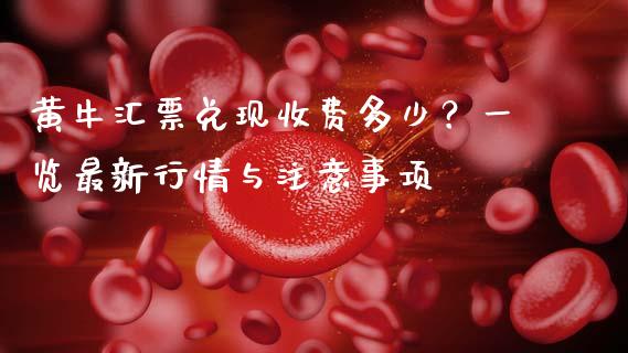 黄牛汇票兑现收费多少？一览最新行情与注意事项_https://m.fsyjjx.cn_期货如何开户_第1张