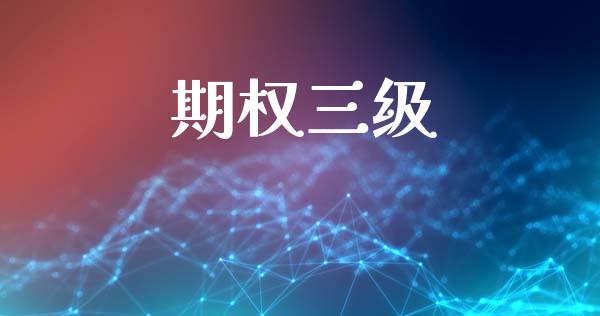 期权三级_https://m.fsyjjx.cn_股指期货保证金_第1张