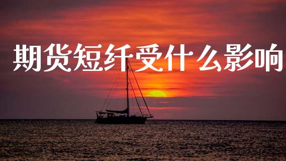 期货短纤受什么影响_https://m.fsyjjx.cn_期货保证金计算_第1张