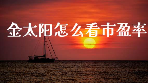 金太阳怎么看市盈率_https://m.fsyjjx.cn_股指期货保证金_第1张