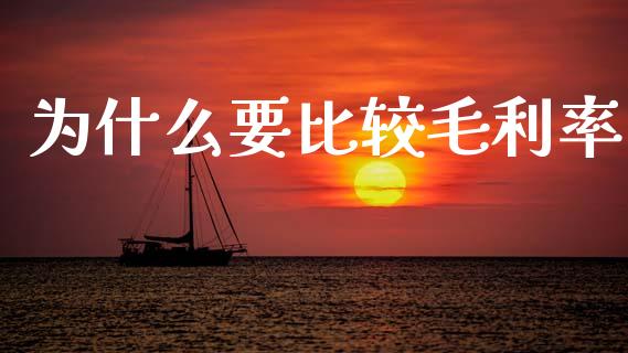 为什么要比较毛利率_https://m.fsyjjx.cn_股指期货保证金_第1张