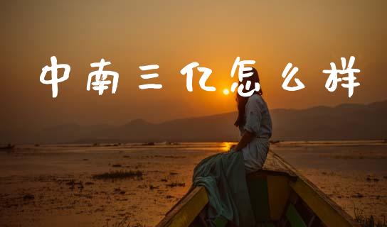 中南三亿怎么样_https://m.fsyjjx.cn_股指期货保证金_第1张