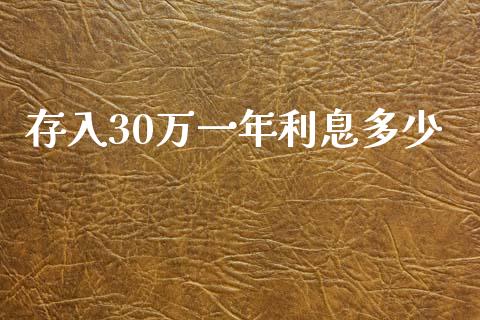 存入30万一年利息多少_https://m.fsyjjx.cn_股指期货保证金_第1张