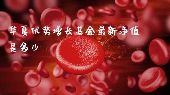华夏优势增长基金最新净值是多少_https://m.fsyjjx.cn_期货保证金_第1张