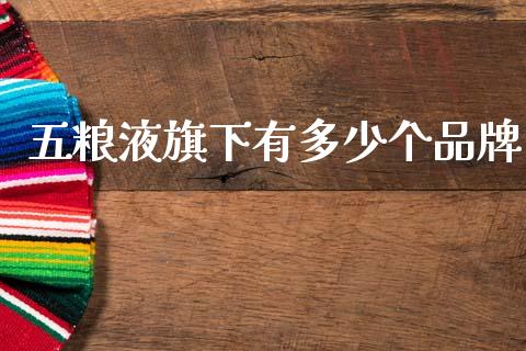 五粮液旗下有多少个品牌_https://m.fsyjjx.cn_期货保证金计算_第1张