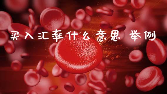 买入汇率什么意思 举例_https://m.fsyjjx.cn_股指期货保证金_第1张