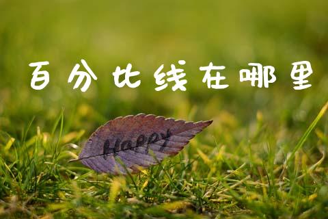 百分比线在哪里_https://m.fsyjjx.cn_期货如何开户_第1张