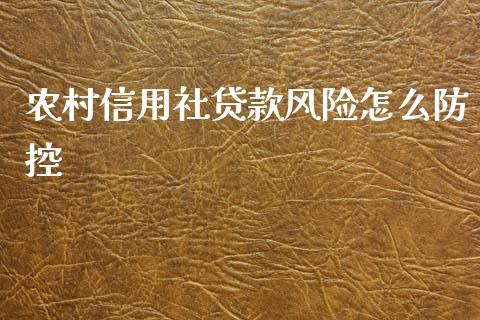 农村信用社贷款风险怎么防控_https://m.fsyjjx.cn_股指期货保证金_第1张