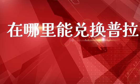 在哪里能兑换普拉_https://m.fsyjjx.cn_股指期货保证金_第1张