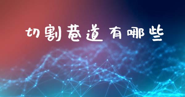 切割巷道有哪些_https://m.fsyjjx.cn_期货如何开户_第1张