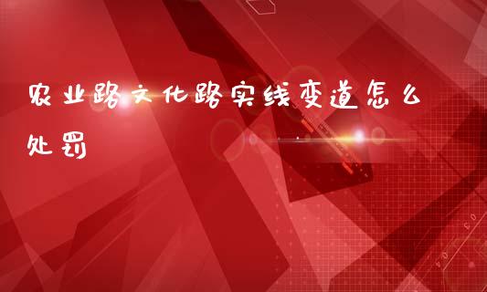 农业路文化路实线变道怎么处罚_https://m.fsyjjx.cn_股指期货保证金_第1张