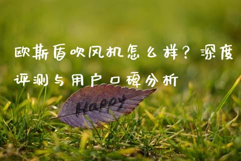 欧斯盾吹风机怎么样？深度评测与用户口碑分析_https://m.fsyjjx.cn_期货保证金计算_第1张