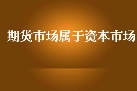 期货市场属于资本市场_https://m.fsyjjx.cn_期货保证金计算_第1张