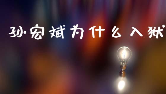 孙宏斌为什么入狱_https://m.fsyjjx.cn_期货如何开户_第1张