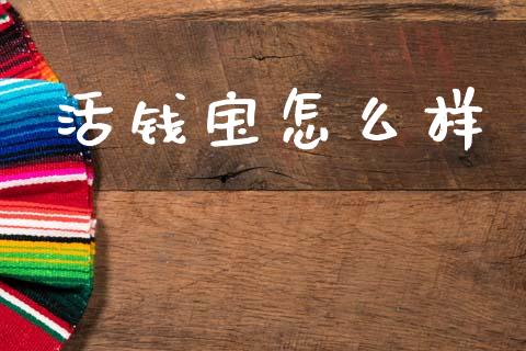 活钱宝怎么样_https://m.fsyjjx.cn_期货保证金计算_第1张