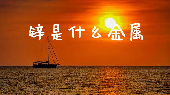 锌是什么金属_https://m.fsyjjx.cn_期货保证金计算_第1张
