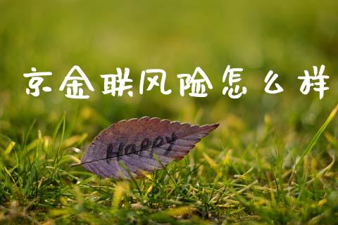 京金联风险怎么样_https://m.fsyjjx.cn_期货保证金计算_第1张