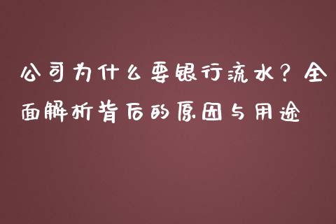 公司为什么要银行流水？全面解析背后的原因与用途_https://m.fsyjjx.cn_期货如何开户_第1张