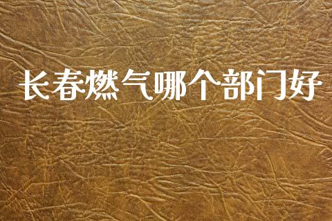 长春燃气哪个部门好_https://m.fsyjjx.cn_期货保证金_第1张