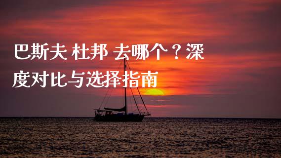 巴斯夫 杜邦 去哪个？深度对比与选择指南_https://m.fsyjjx.cn_期货保证金_第1张