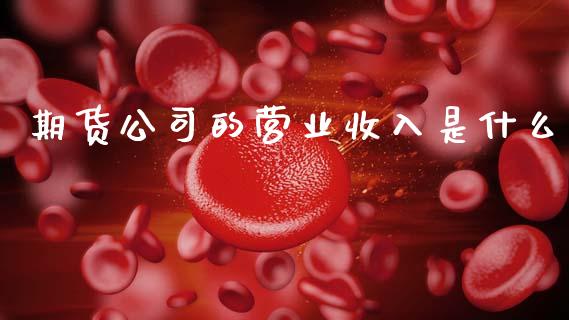 期货公司的营业收入是什么_https://m.fsyjjx.cn_期货保证金_第1张