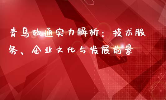 青鸟软通实力解析：技术服务、企业文化与发展前景_https://m.fsyjjx.cn_期货如何开户_第1张