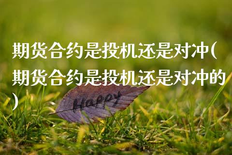 期货合约是投机还是对冲(期货合约是投机还是对冲的)_https://m.fsyjjx.cn_期货如何开户_第1张