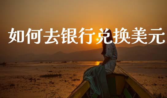 如何去银行兑换美元_https://m.fsyjjx.cn_期货如何开户_第1张