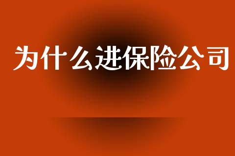 为什么进保险公司_https://m.fsyjjx.cn_期货如何开户_第1张