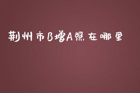 荆州市B增A照在哪里_https://m.fsyjjx.cn_期货保证金_第1张