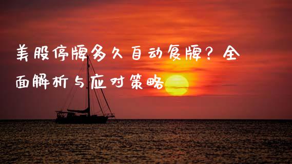 美股停牌多久自动复牌？全面解析与应对策略_https://m.fsyjjx.cn_期货保证金计算_第1张