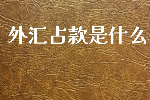 外汇占款是什么_https://m.fsyjjx.cn_期货保证金计算_第1张